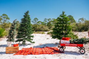 Sebastian Christmas Minis